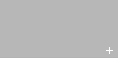 +