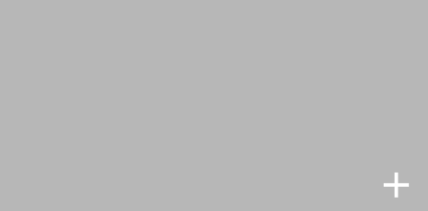 +